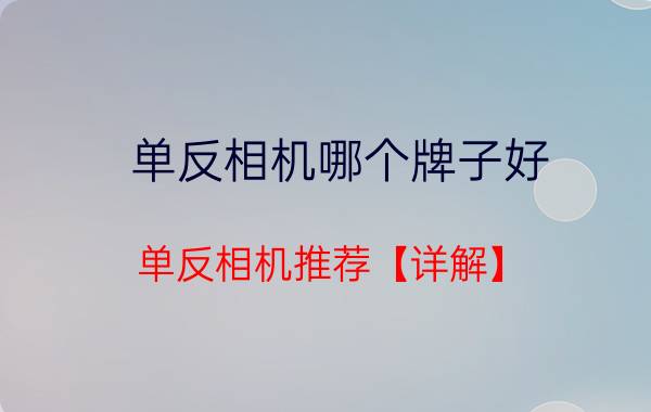 单反相机哪个牌子好 单反相机推荐【详解】